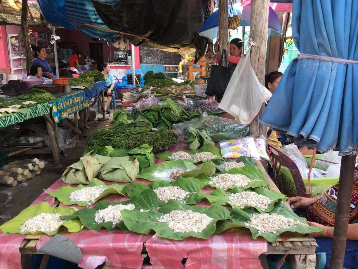 นักเปิบทึ่ง! ของป่าตลาด”แม่ตืน-แม่อีไฮ” อ.ลี้ คู่แข่งสำคัญ”ตลาดแม่ทา”  ชาวบ้านนำของป่ามาวางขาย หลากหลายชนิดตามฤดูกาล - Chiang Mai News