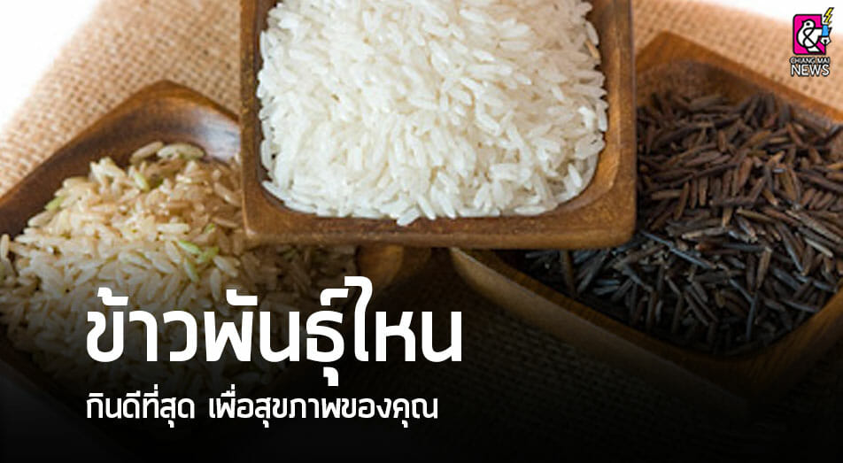 ข้าวพันธุ์ไหน กินดีที่สุด เพื่อสุขภาพของคุณ - Chiang Mai News
