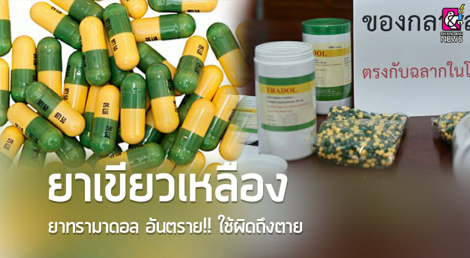 ยาเขียวเหลือง(ยาทรามาดอล) อันตราย!! ใช้ผิดถึงตาย - Chiang Mai News