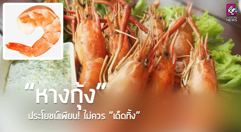 หางกุ้ง” ประโยชน์เพียบ ไม่ควร”เด็ดทิ้ง” - Chiang Mai News