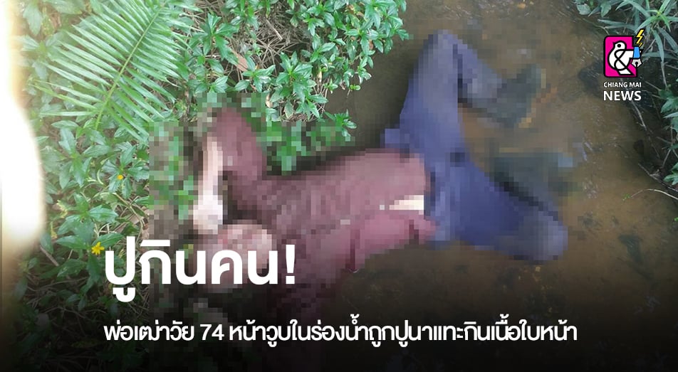 ป ก นคน พ อเฒ าว ย 74 ป เก ดว บคว ำหน าในร องน ำ ถ กป นาร มแทะก นเน อใบหน า ส ดเส ยวสยอง Chiang Mai News