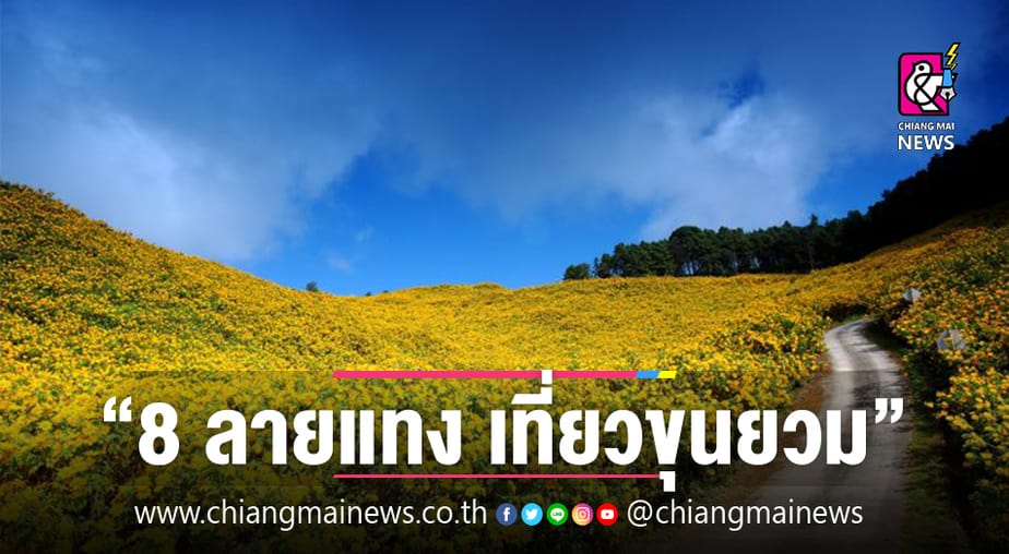 8 ลายแทง ท่องเที่ยวขุนยวม จ.แม่ฮ่องสอน - Chiang Mai News