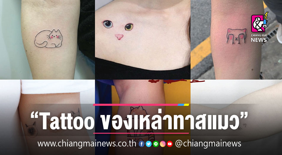 ไอเดียรอยสักมินิมอล สำหรับทาสแมว - Chiang Mai News