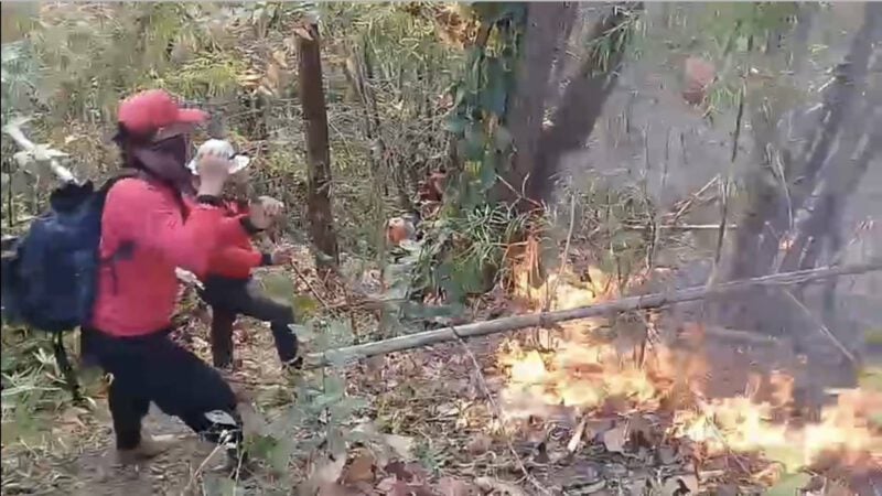 This image is not belong to us