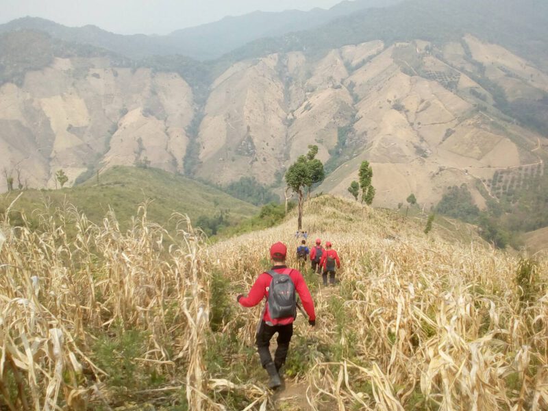 This image is not belong to us