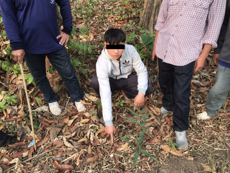 This image is not belong to us