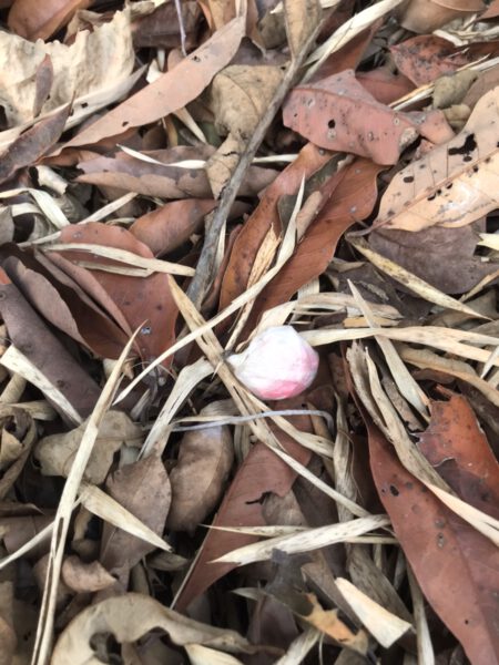 This image is not belong to us