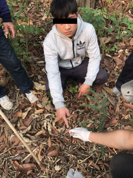 This image is not belong to us