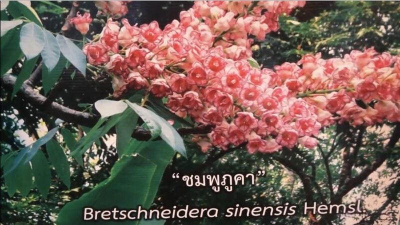 This image is not belong to us