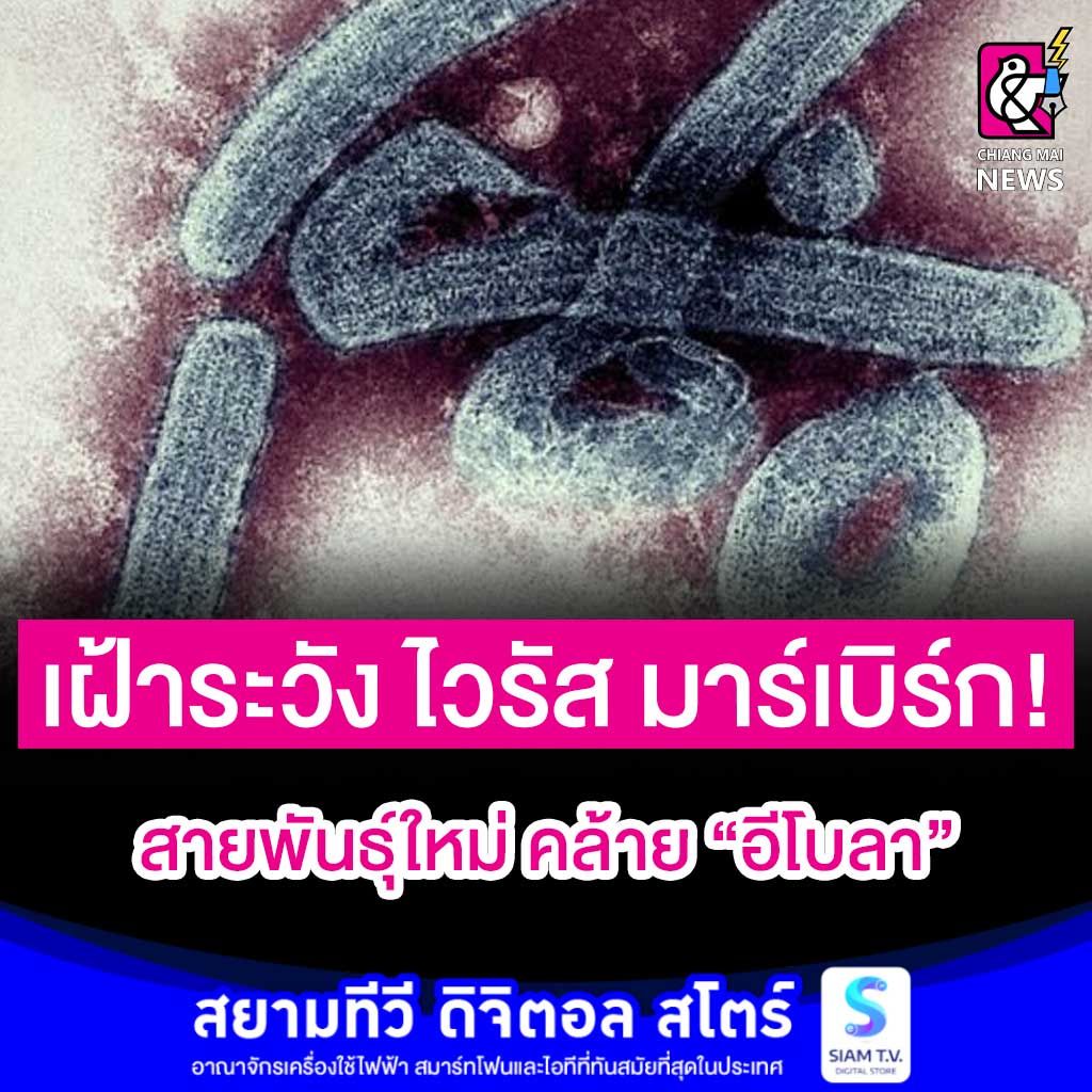 My Image 9