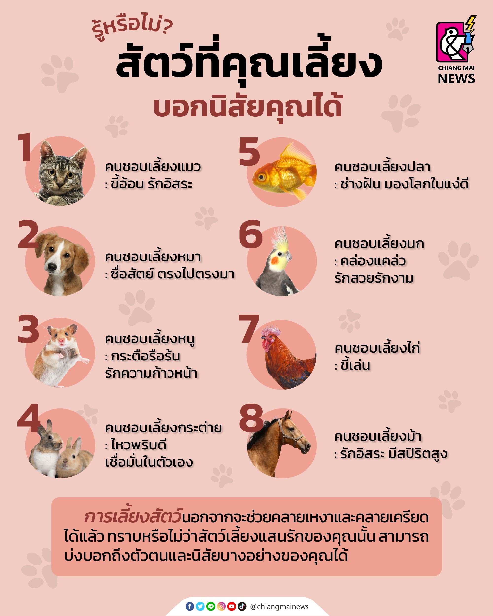 รู้หรือไม่? สัตว์ที่คุณเลี้ยงบอกนิสัยคุณได้ - Chiang Mai News