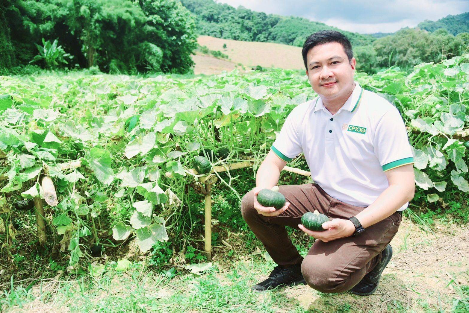 ธุรกิจฟักทองมินิบอลครบวงจร ช่วยเกษตรกร - Chiang Mai News