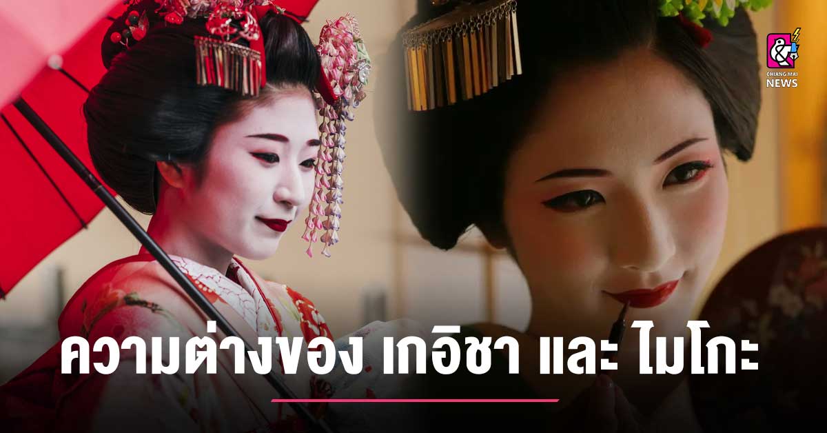 日本社会において舞妓と芸妓はどう違うのでしょうか？  – チェンマイニュース