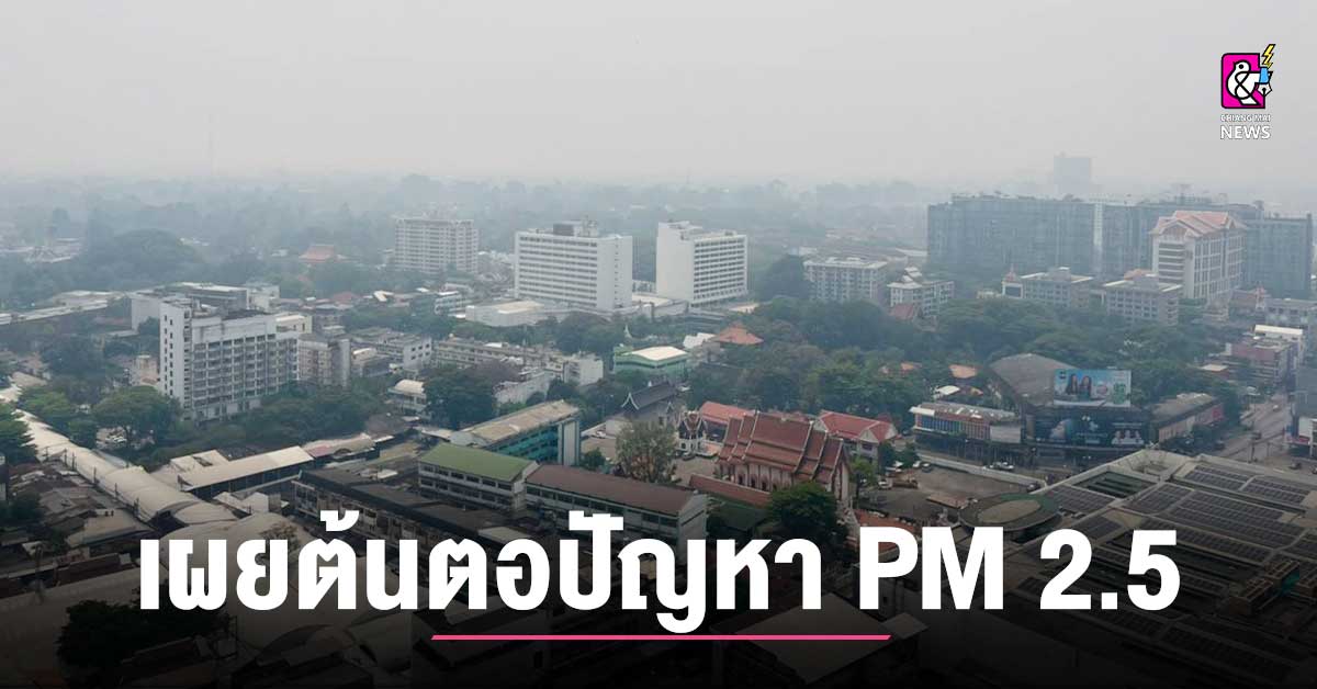 เผยต้นตอปัญหา ฝุ่น Pm 2.5 พร้อมมาตรการแก้ไข คืนอากาศบริสุทธิ์