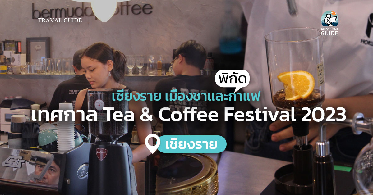 เทศกาล Tea & Coffee Festival 2023 “เชียงราย เมืองชาและกาแฟ”