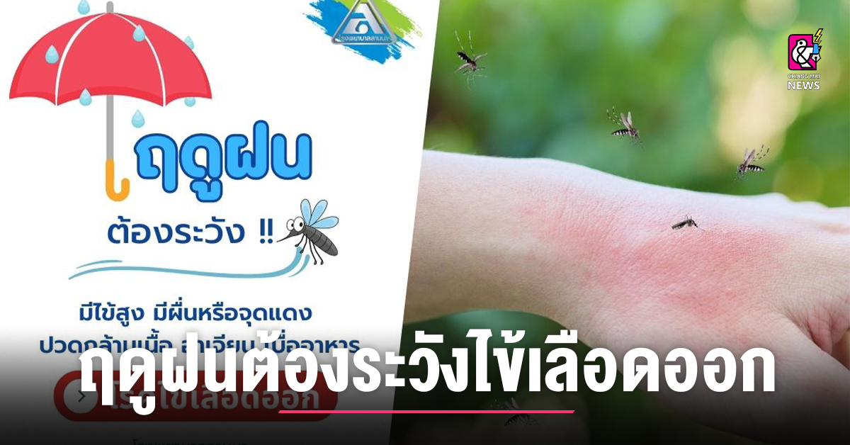 Understanding the Dangers of Dengue Fever in the Rainy Season and How to Prevent it