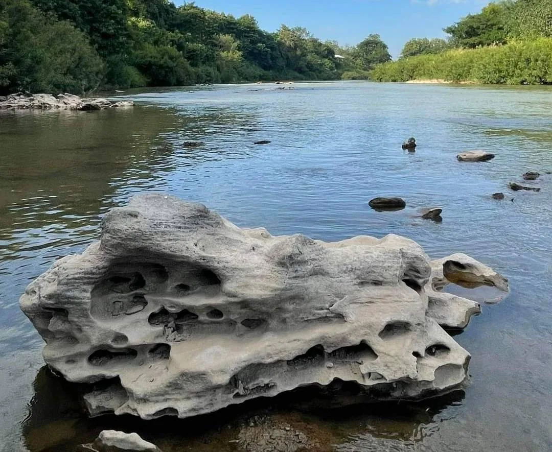 1703928273_838894-chiangmainews