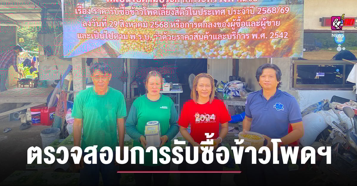พาณิชย์แพร่ ตรวจสอบการรับซื้อข้าวโพดเลี้ยงสัตว์ อําเภอสอง จังหวัดแพร่