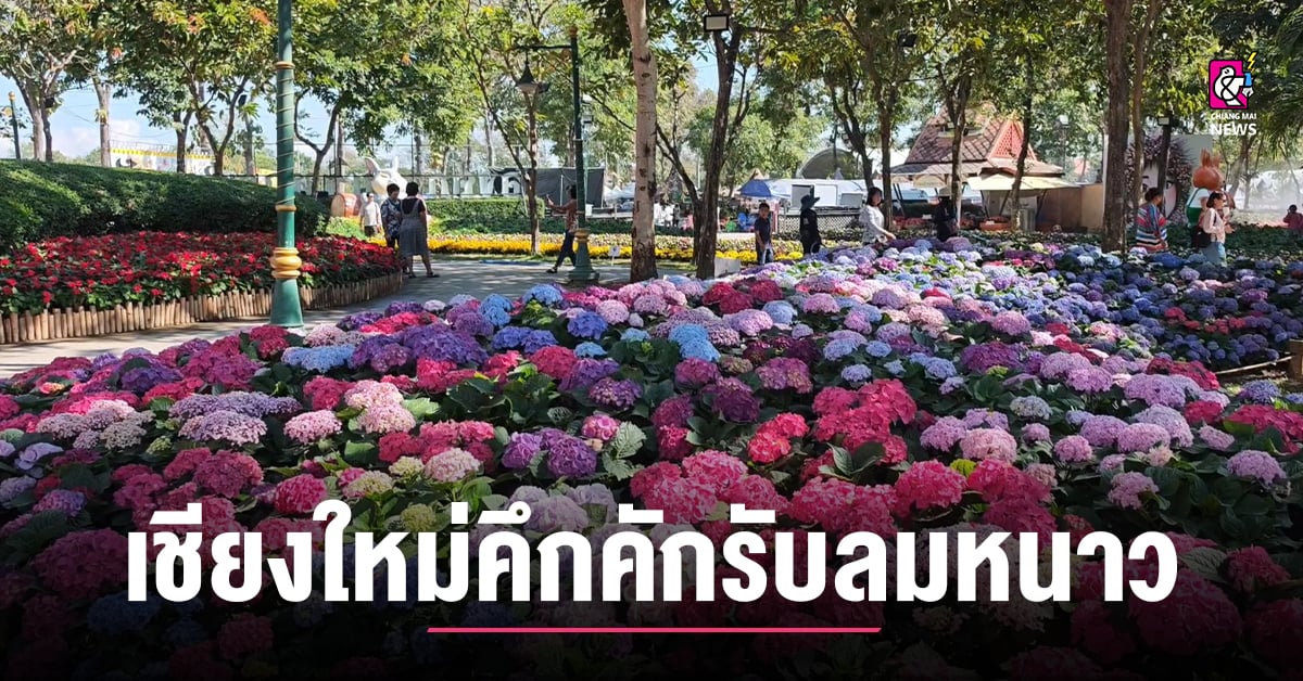 เชียงใหม่คึกคักรับลมหนาว นักเที่ยวกว่า 2 ล้านคนหลั่งไหลชมความงาม ในงาน “มนต์เสน่ห์เชียงใหม่ เมืองดอกไม้งาม”